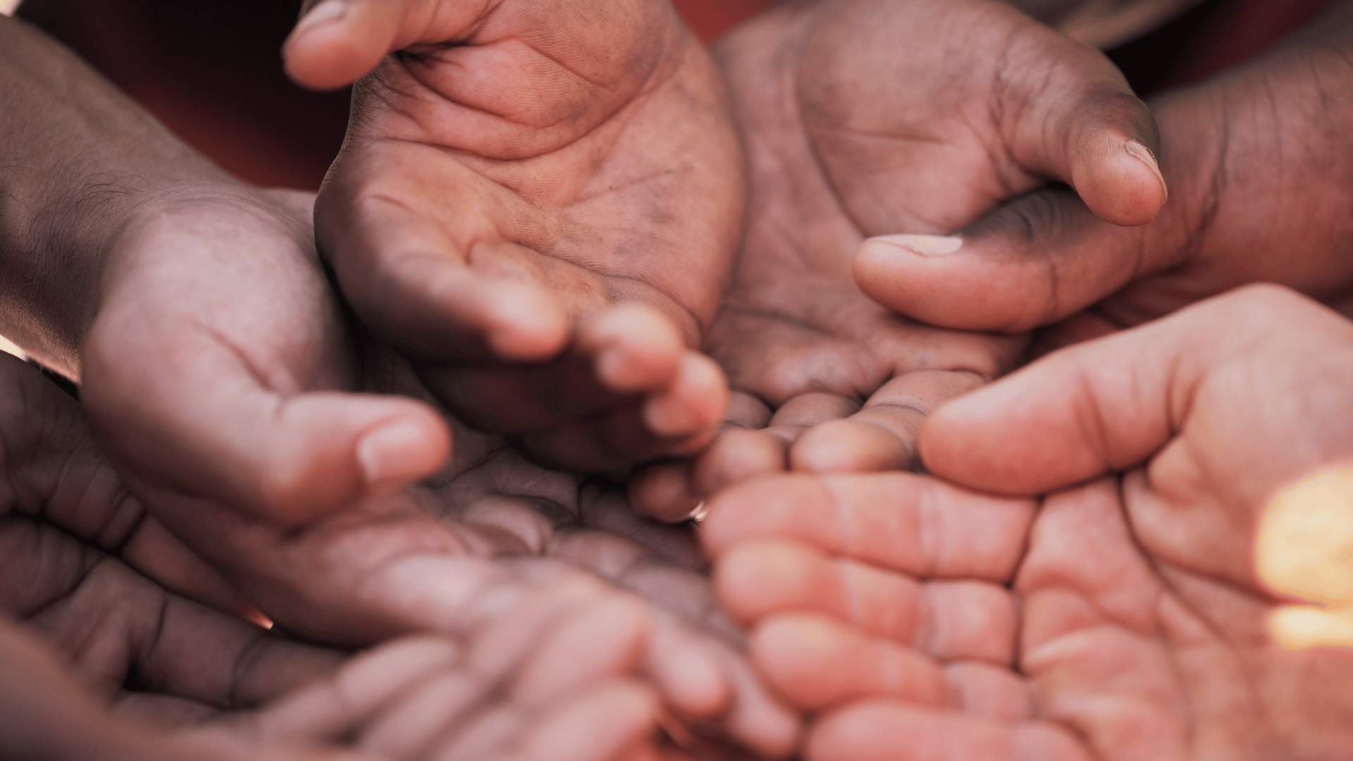 Aide Humanitaire et d’Urgence - Image 5