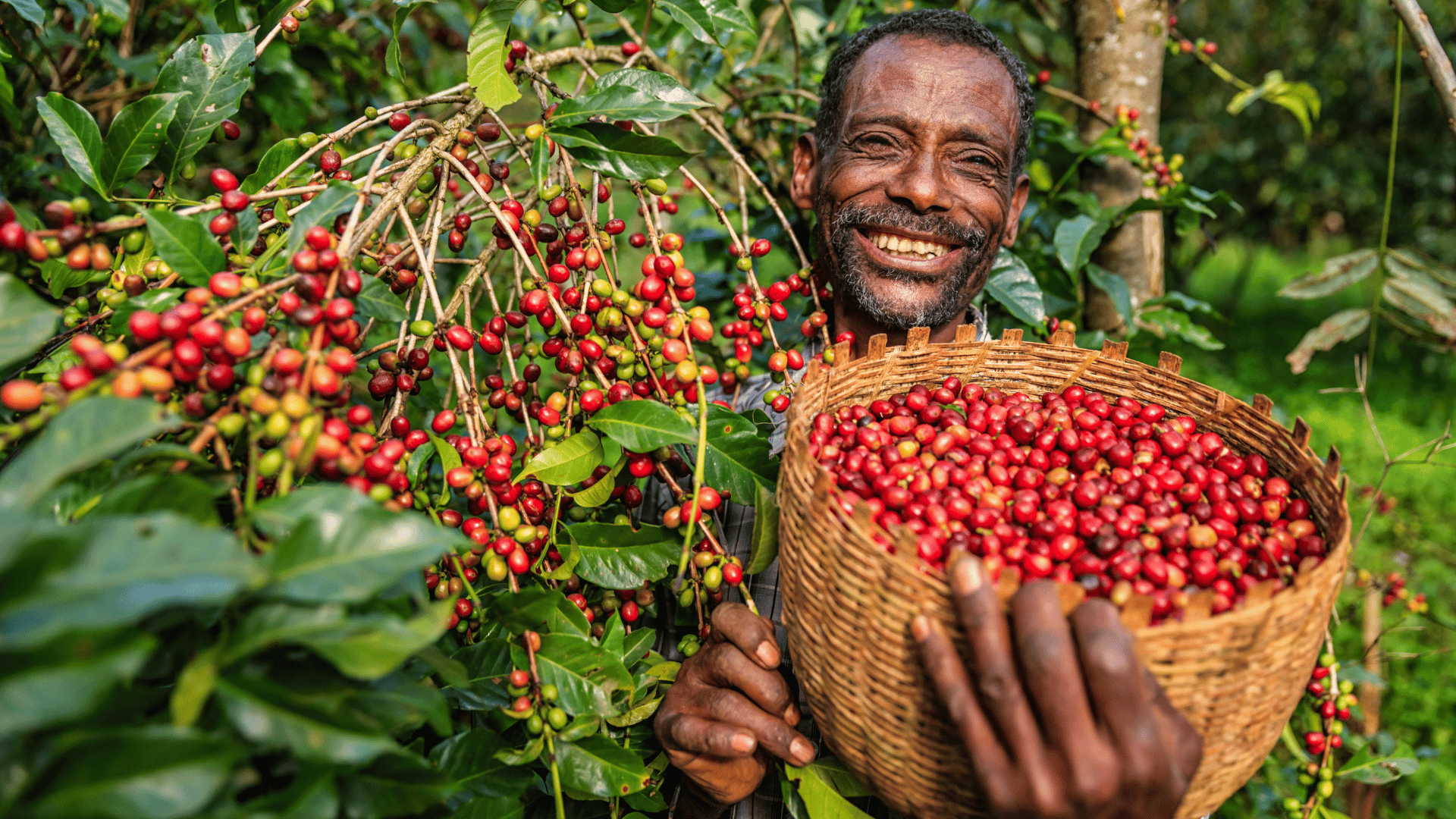 Agriculture Durable - Image 10