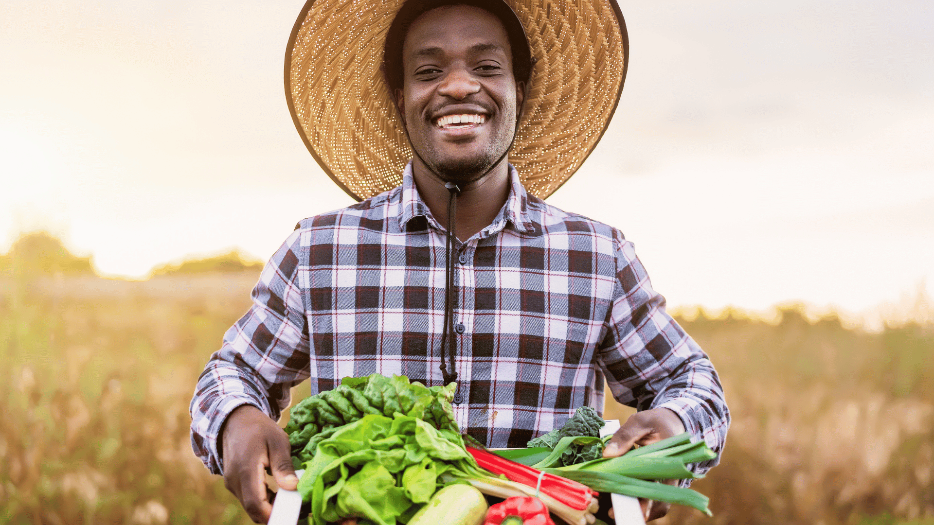 Agriculture Durable - Image 2