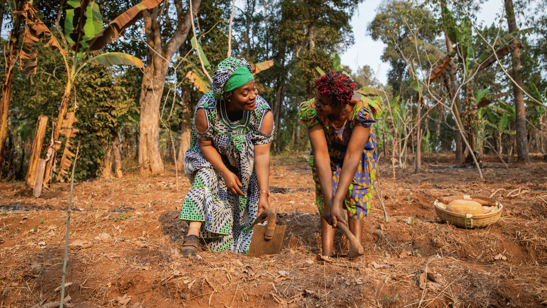 Agriculture Durable - Image 4