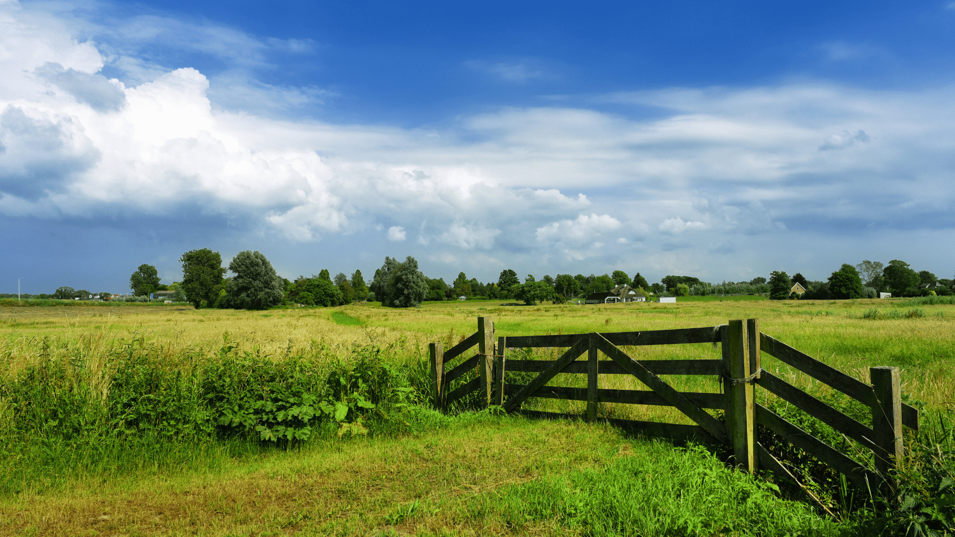 l'Énergie Solaire - Image 6