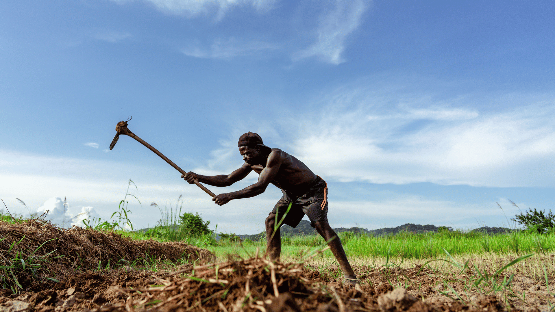 Agriculture Durable - Image 3